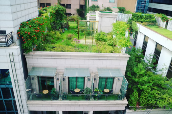 Cách chống nóng cho nhà mái bằng hiệu quả